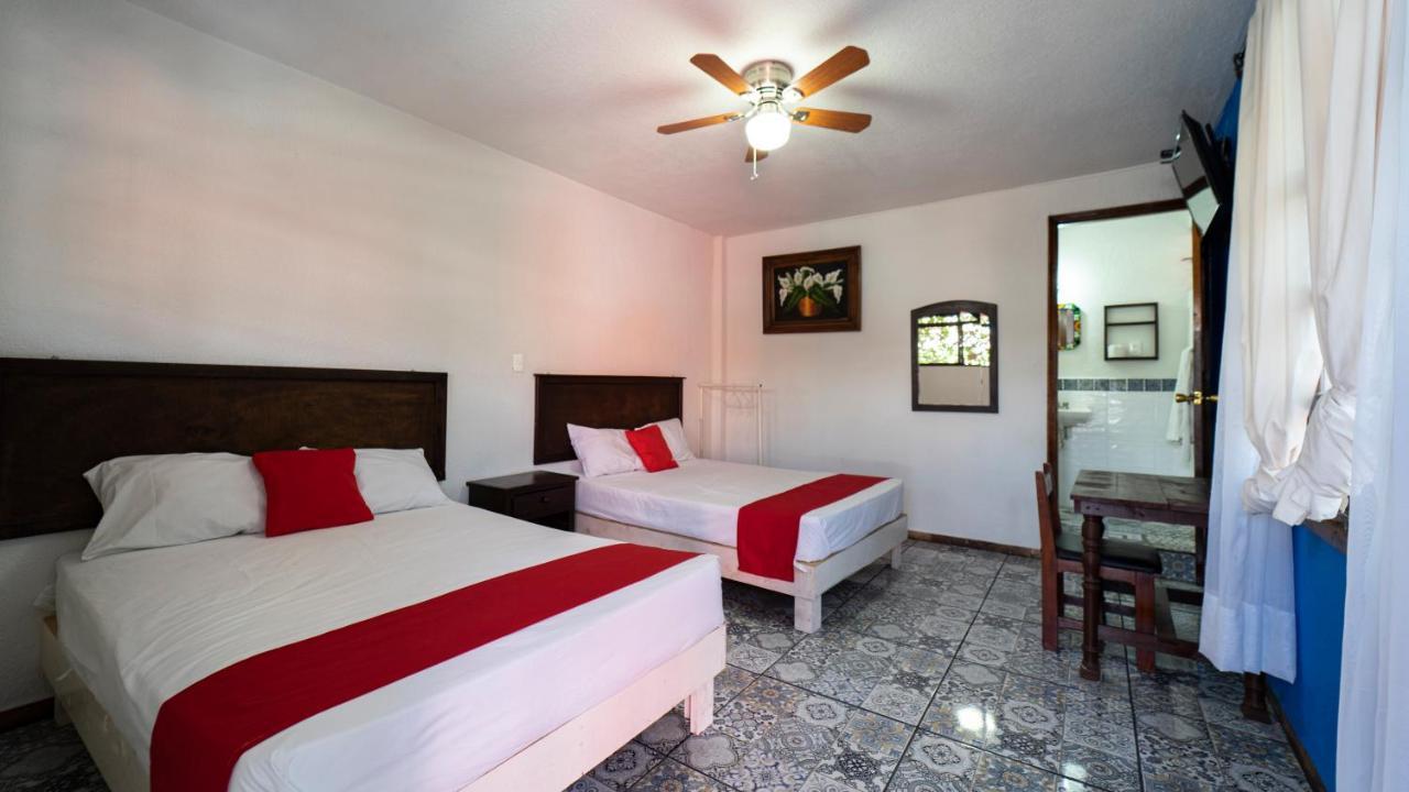 Hotel Posada Bugambilias San Luis Potosí Exteriér fotografie