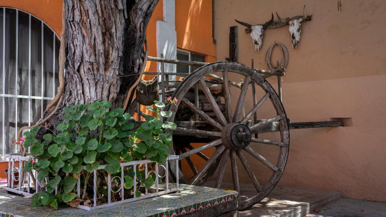 Hotel Posada Bugambilias San Luis Potosí Exteriér fotografie