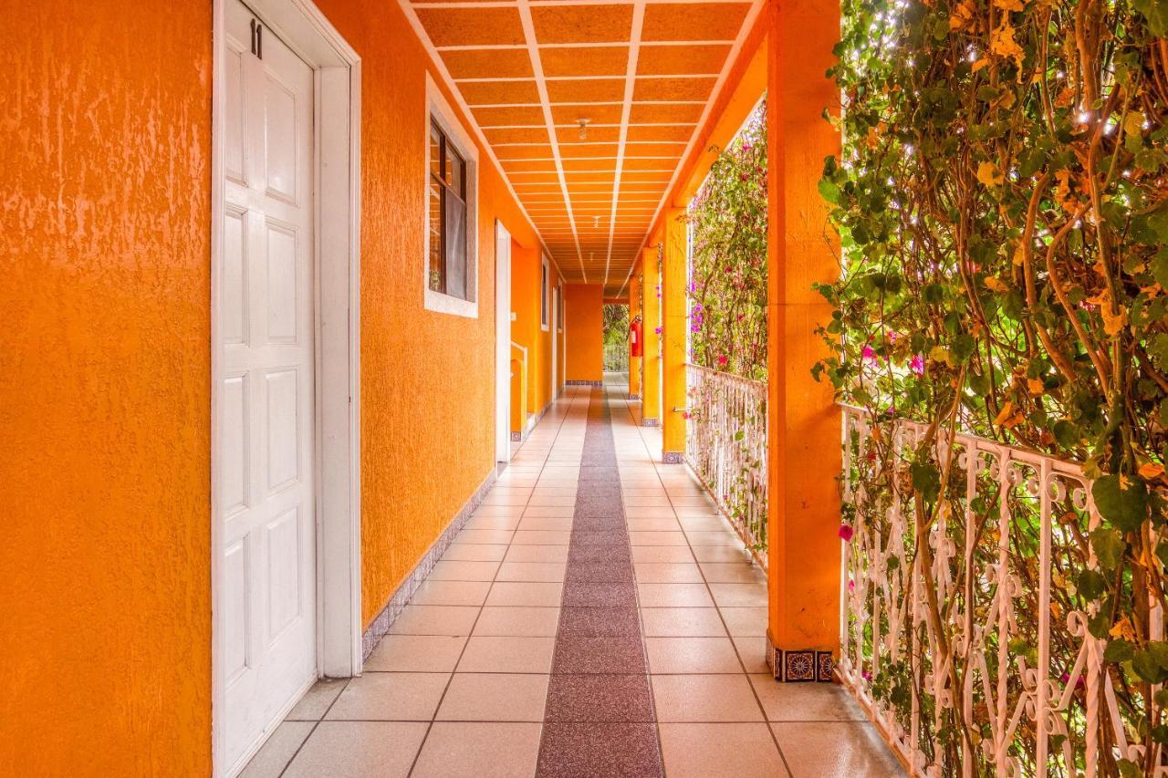 Hotel Posada Bugambilias San Luis Potosí Exteriér fotografie